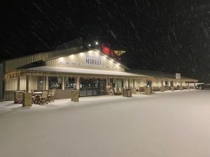 Brakers in Snow 1
