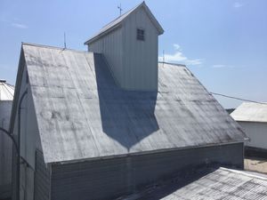 IMG_0329.jpeg