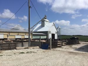 IMG_0450.jpeg