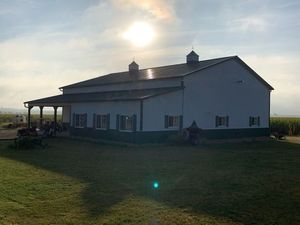IMG_7539.jpeg