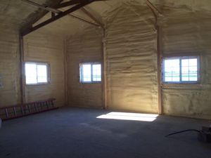 IMG_1503.jpeg