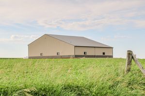 IMG_0627 - Bush